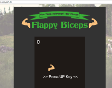 Flappy Biceps